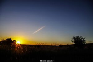 Afrique coucher du soleil dans le bush