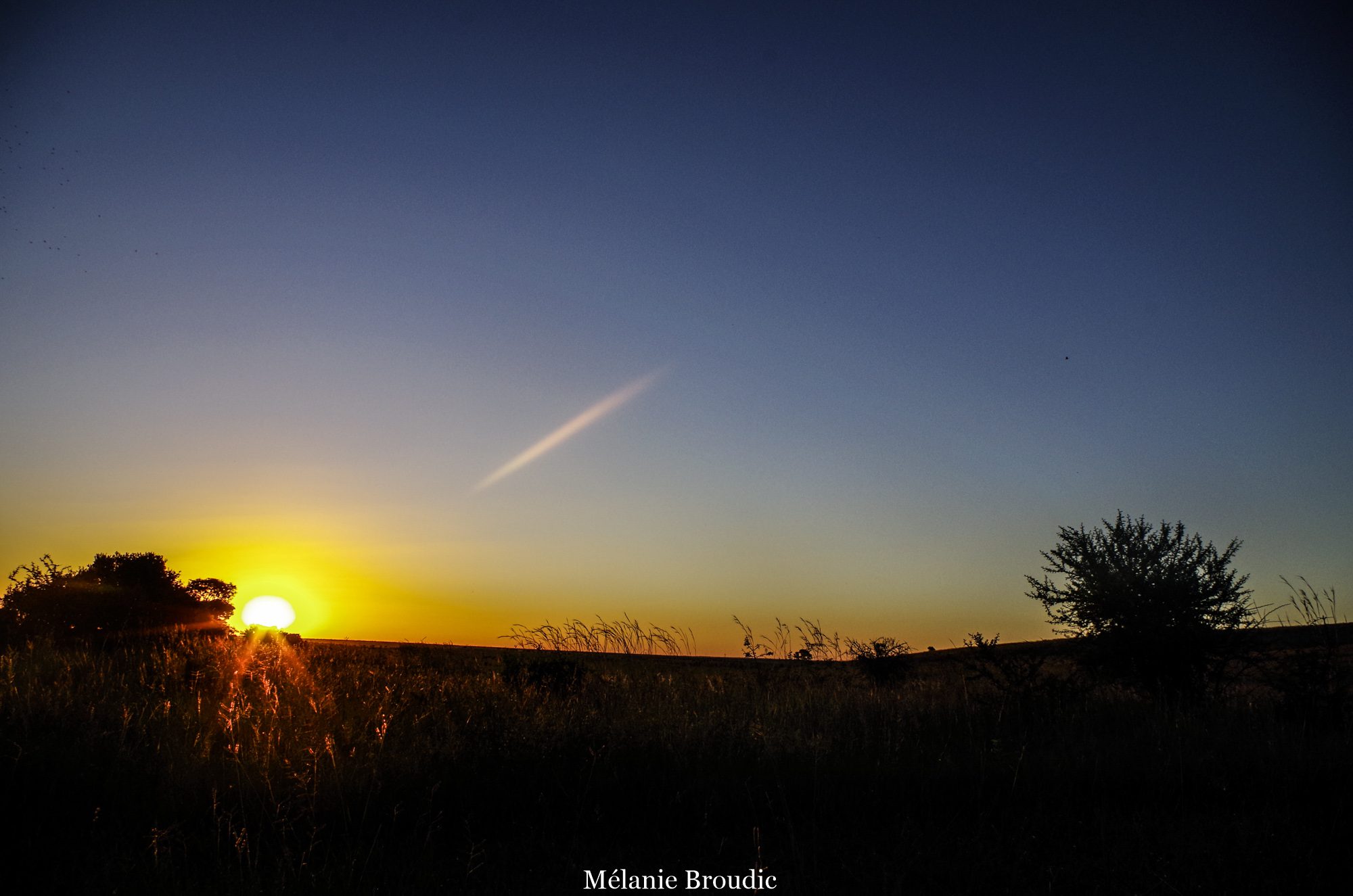 Afrique coucher du soleil dans le bush
