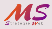Stratégie Web logo