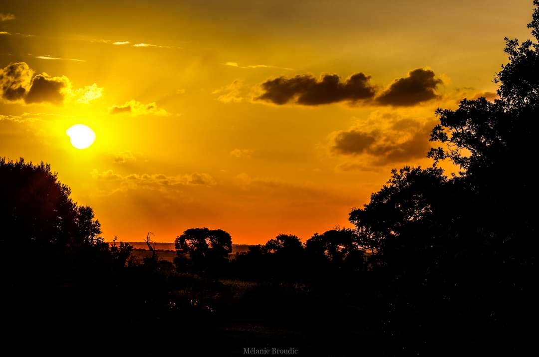 Coucher sur la pleine