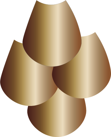 Des écailles en bronze