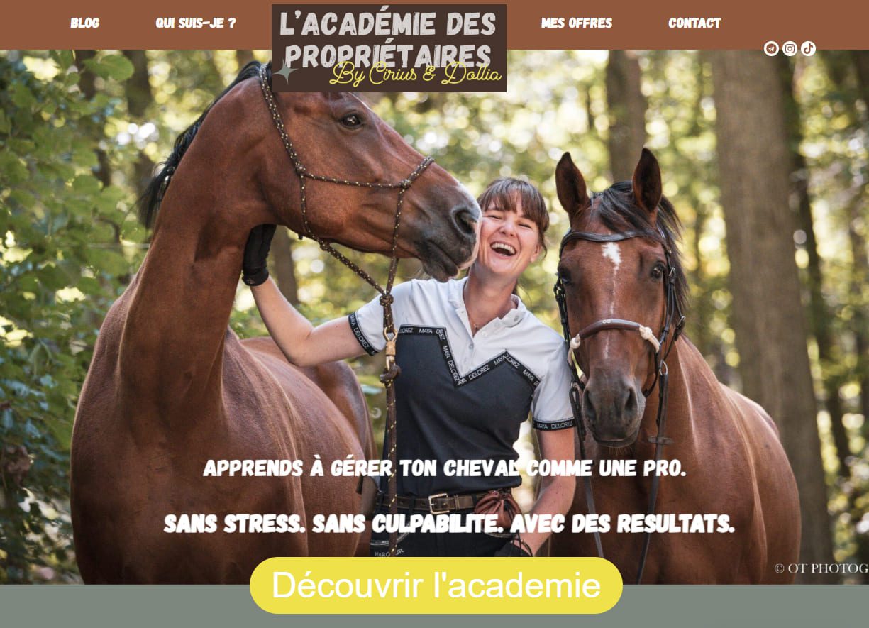 La page accueil du site de Cirius et Dollia