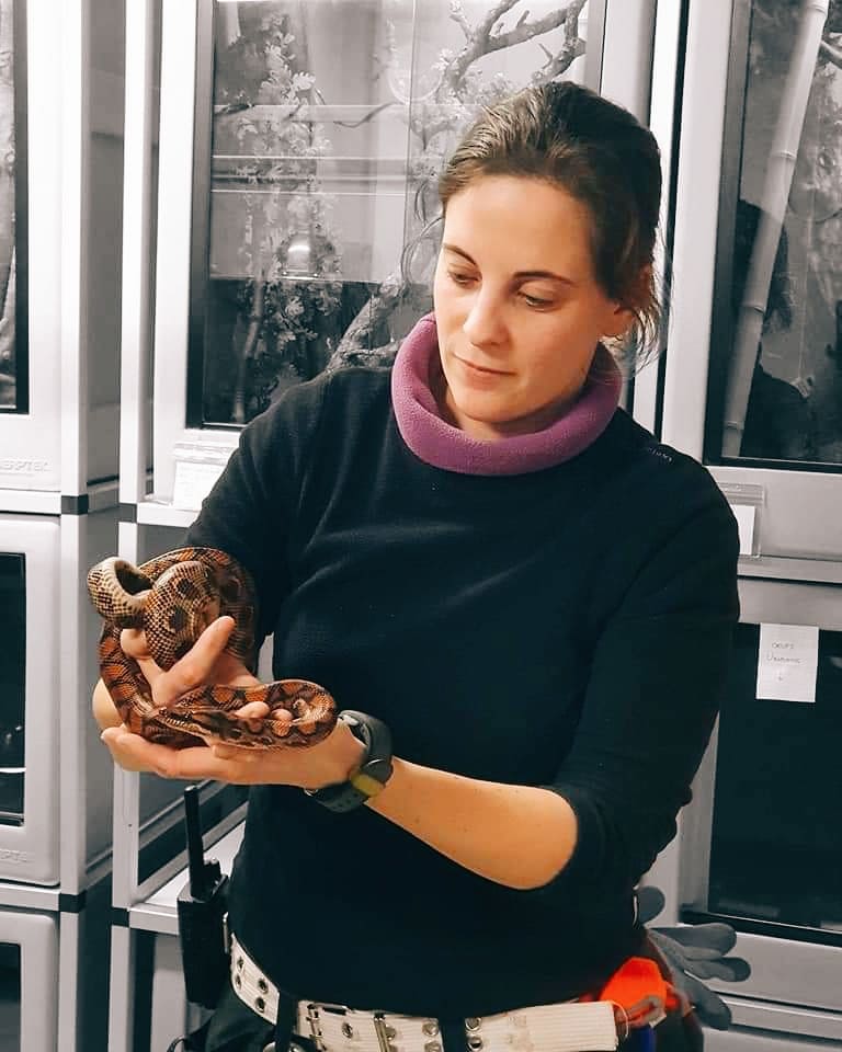 Manipulation pour former des soigneurs