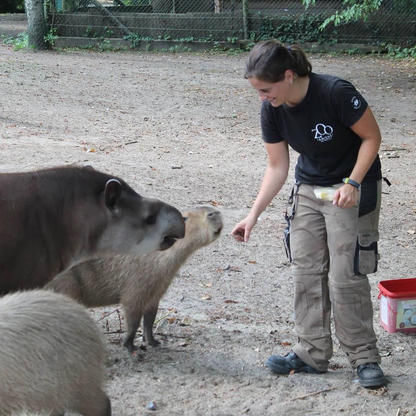 Soigneuse et ses animaux