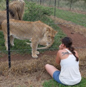 Photographie d'une lionne et une fille en Afrique